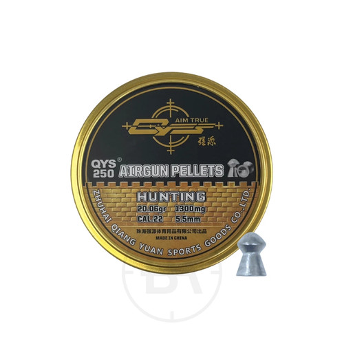 Qys domed heavy 20 - .22, 20.06gr